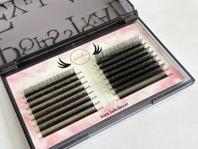 1000 Premade Spike for Wispy lashes  in mix size