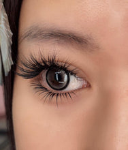 CLEARANCE Cashmere lashes  lashes extensions in 0.07 diameter